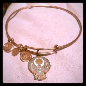 ALEX AND ANI: falcon